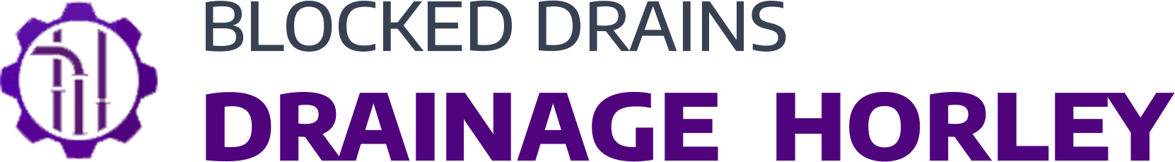 website logo